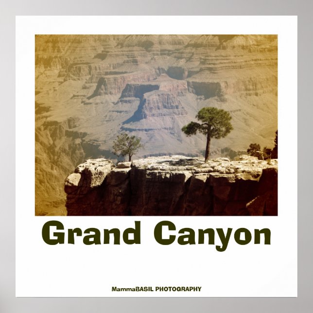 Fantastic Grand Canyon Poster (Frente)