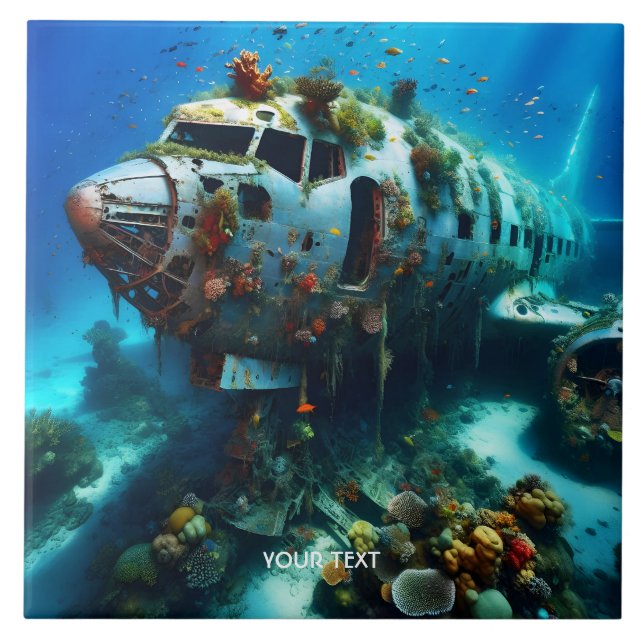 Fantasy Cute Broken Airplane Ocean (Frente)