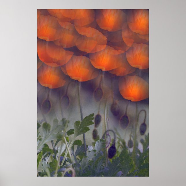 Fantasy Orange Poppy Skies Poster (Frente)