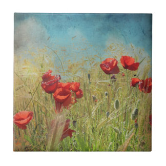 Fantasy poppies