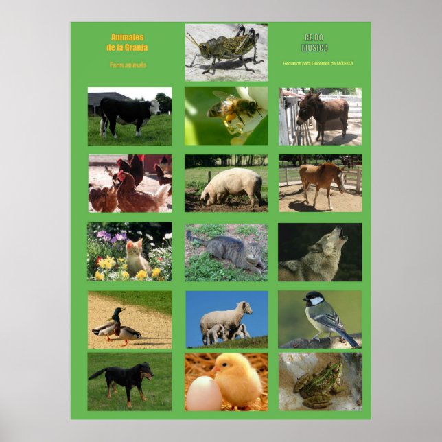 Farm Animals Poster .Animales de la granja (Frente)