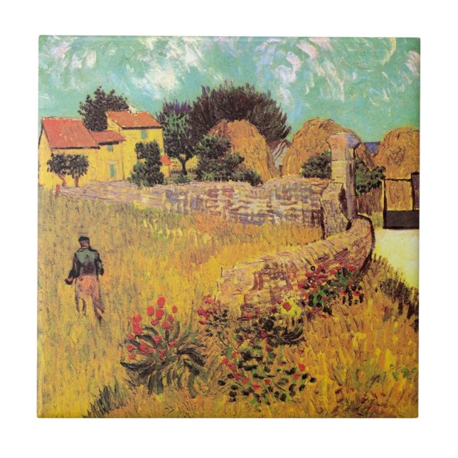 Farmhouse in Provence por Vincent van Gogh (Frente)