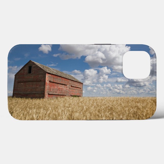 Farms | Old Red Barn in Wheat Field (Verso (horizontal))