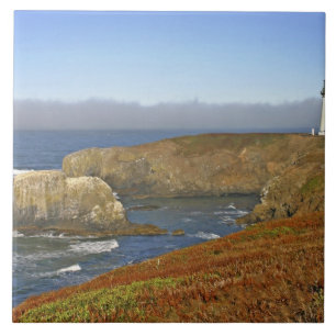 Farol de Yaquina Head em Newport Oregon