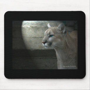 Fascínio Mousepad