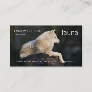 Fauna - cartão de visita ártico do lobo