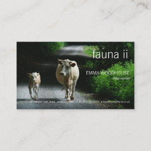 Fauna - duas vacas no cartão de visita de Bummel