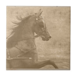 Faux Vintage Hackney