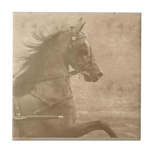 Faux Vintage Hackney (Frente)