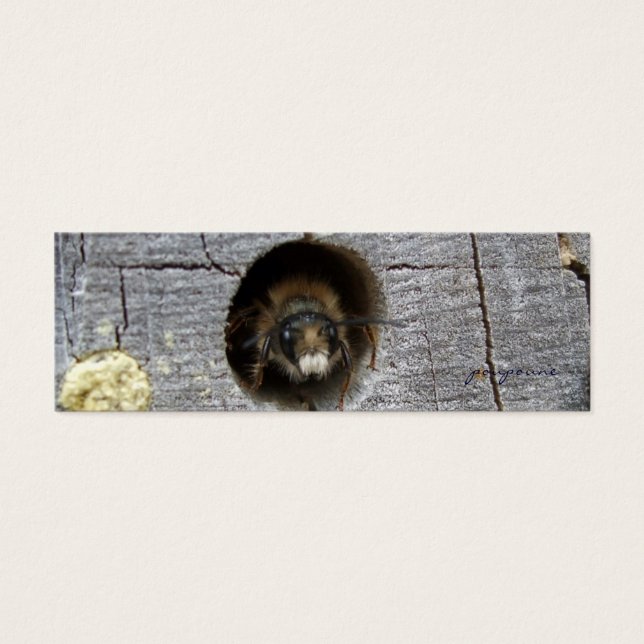 favorito de abelhas ocupado (Frente)