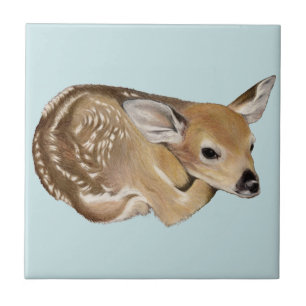 Fawn