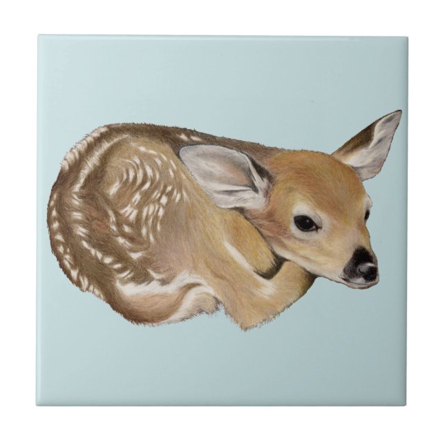 Fawn (Frente)