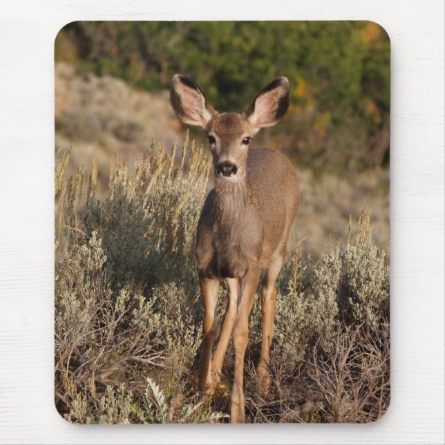 Fawn Mousepad (Frente)