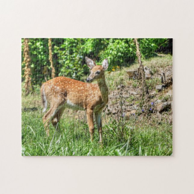 Fawn Quebra-cabeça (Horizontal)