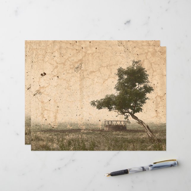 Fazenda Antiquada da Árvore Rustic Beige do País V (Frente/Verso In Situ)