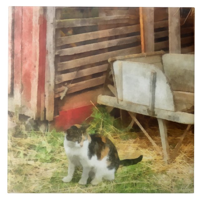 Fazenda Cat (Frente)