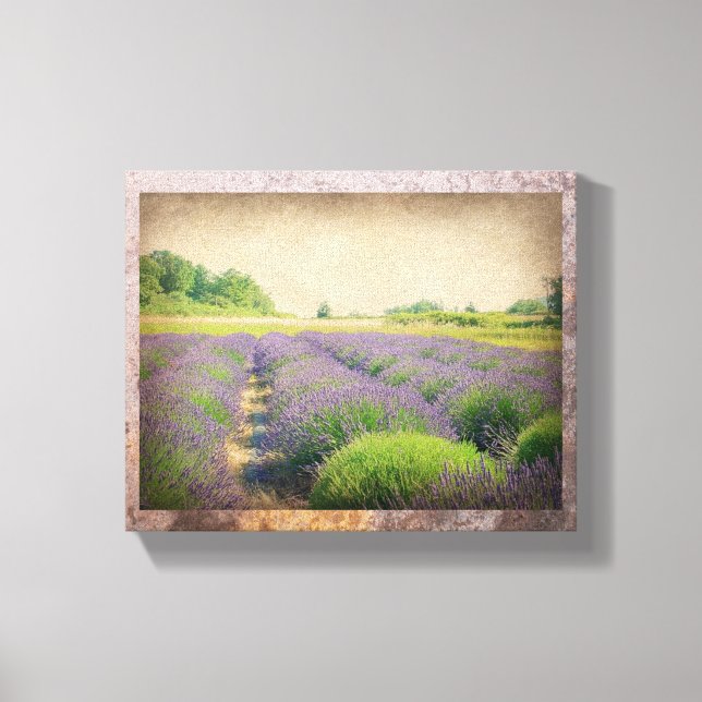 Fazenda da lavanda - Canvas em relevo (Frente)