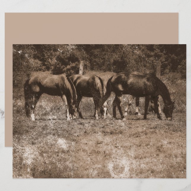 Fazenda de cavalos Vintage País Russo Sepia Ociden (Frente/Verso)