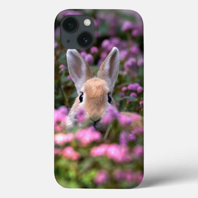 Fazenda de coelho (Verso)