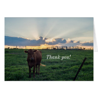 Fazenda de gado Cartões de agradecimentos sunset