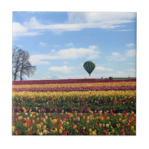 Fazenda de Tulipas de Sapato de Madeira, Woodburn,