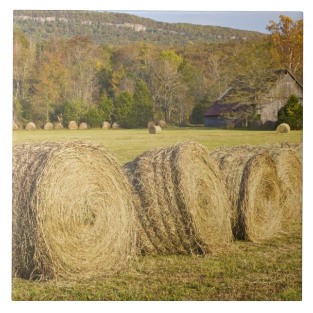 Fazenda histórica no rio nacional de Buffalo, (Frente)