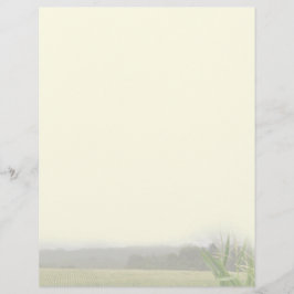 Fazenda paisagística com vazio de plantas de milho