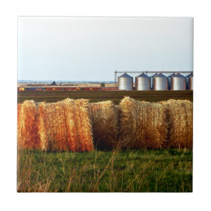 Fazenda Prairie Life: Saldos de Hay e Silos