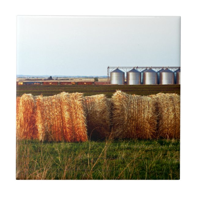 Fazenda Prairie Life: Saldos de Hay e Silos (Frente)
