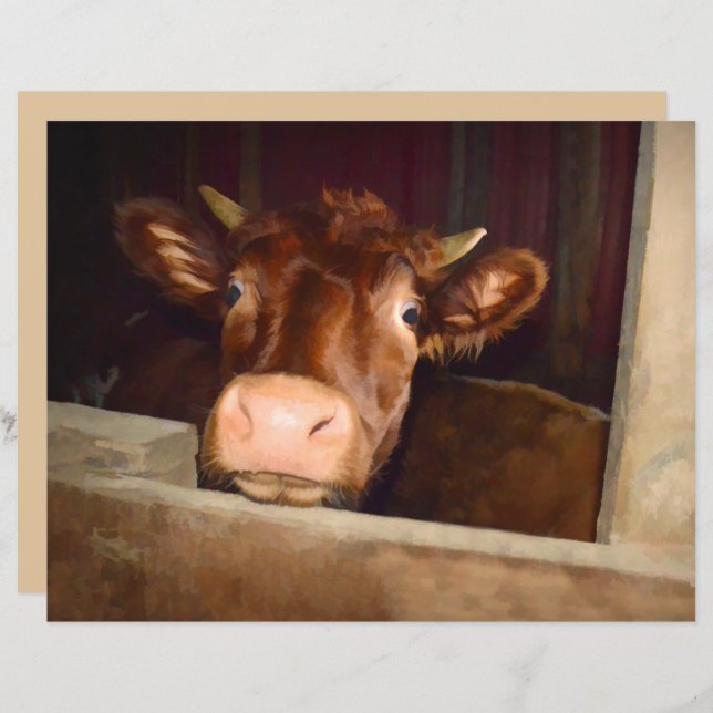 Fazenda Rústica do Carão Castanho Engraçado (Frente/Verso)