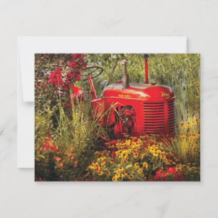 Fazenda - Um pastoreio de pônei