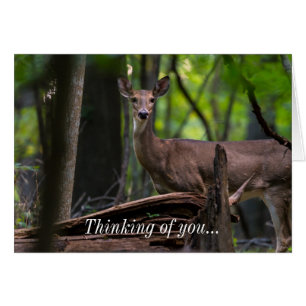 Fazendo Você Pensar Em Seu Cartão