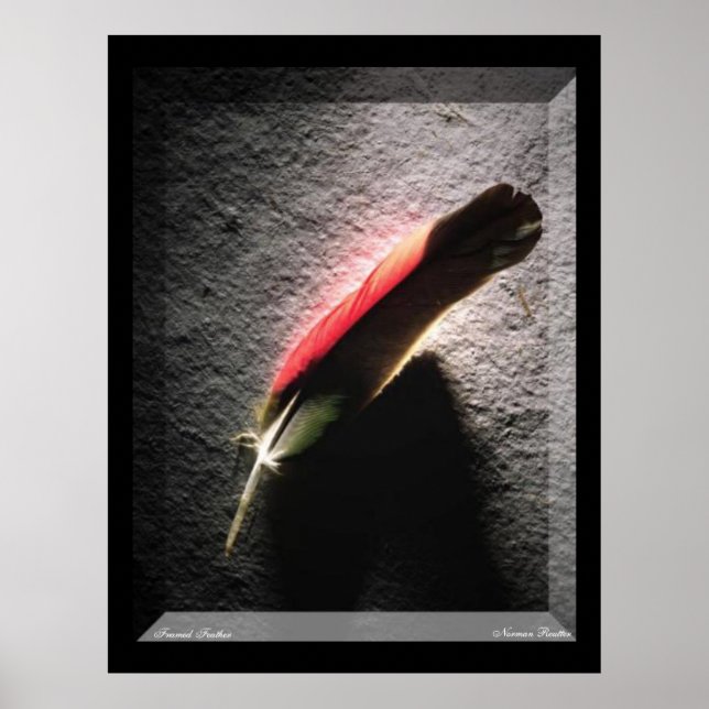 Feather Poster (Frente)