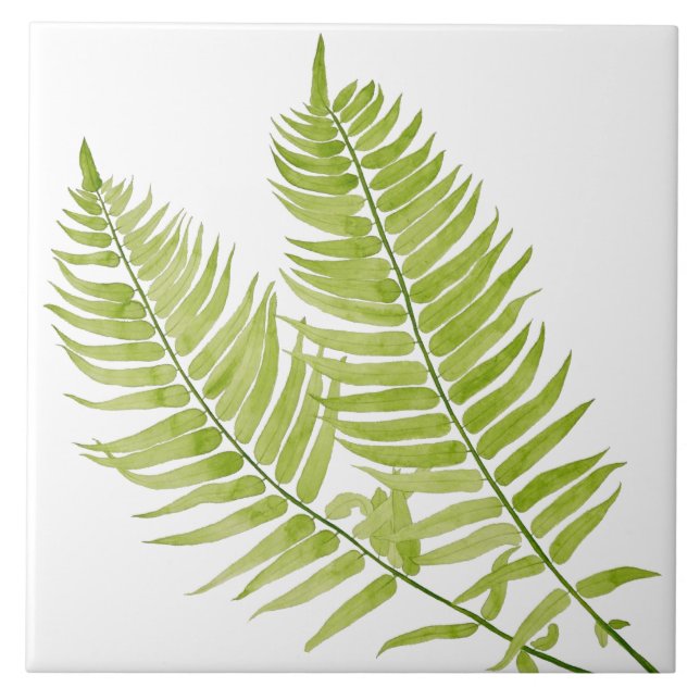 Feathery Fern em Azulejo cerâmico (Frente)