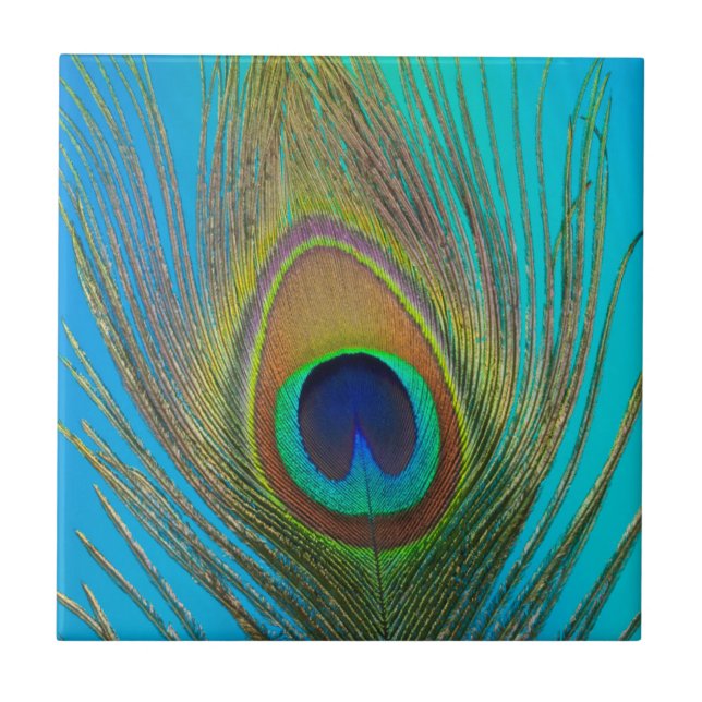 Fechar a pena de pavão (Frente)