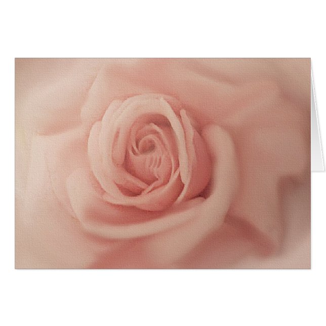 Fechar Cartões Rosa Rosa Rosa Rosa Rosa (Frente Horizontal)