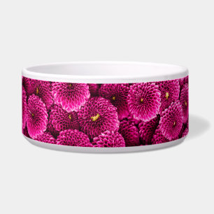 Feche a Tigela de Pet-Bowl, de Flor Rosa