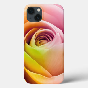 Feche acima das pétalas cor-de-rosa coloridas