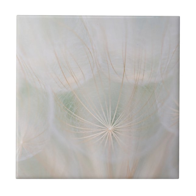 Feche uma cabeça de semente, Canadá (Frente)