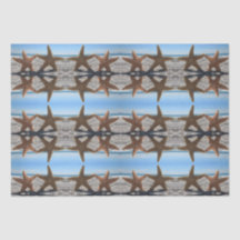 Fécula de Açúcar no Papel Tecido da Praia