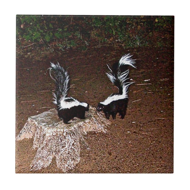 Fedores do amor (Frente)