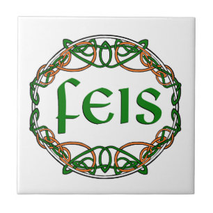 FEIS