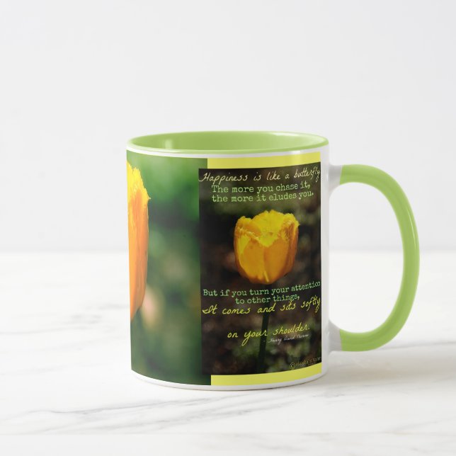 Felicidade é como uma caneca de borboleta (Direita)