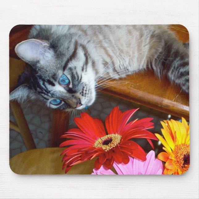 Felicidade Mousepad da flor do gato de Louie (Frente)