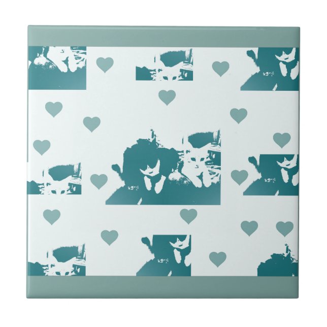 Feline Friends. Adorable Kitten Duo. (Frente)