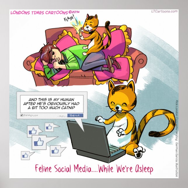 Feline Social Media Engraçado Poster (Frente)