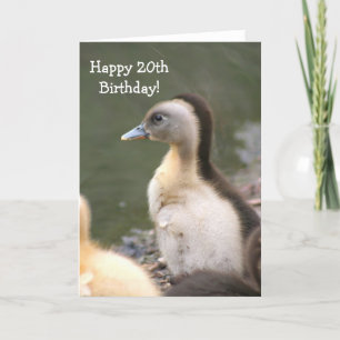Feliz 20 Aniversário Cartão de Feliz Aniversário