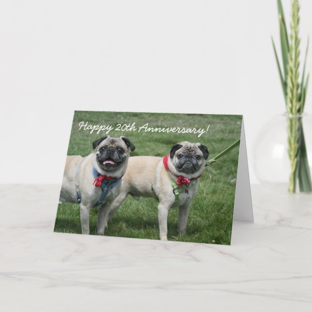Feliz 20 Aniversário Pugs cartão de saudação (Frente)