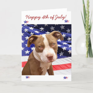 Feliz 4 de julho Cartão Pitbull Americano