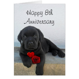 Feliz 8 anos Cartão de saudação de cachorro Labrad